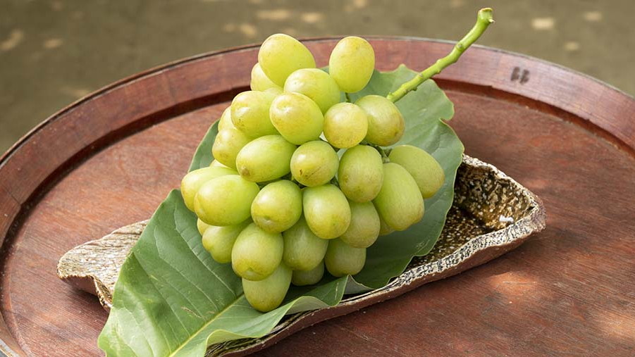 「くだもの」の安全な育成