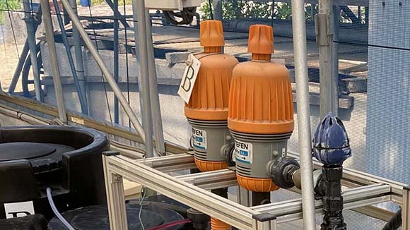 点滴灌水（てんてきかんすい）